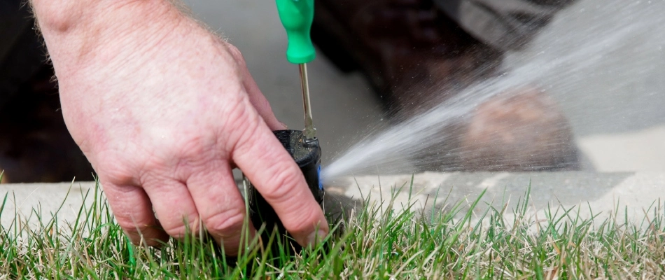Irrigation specialist swapping out sprinkler head in Buda, TX.