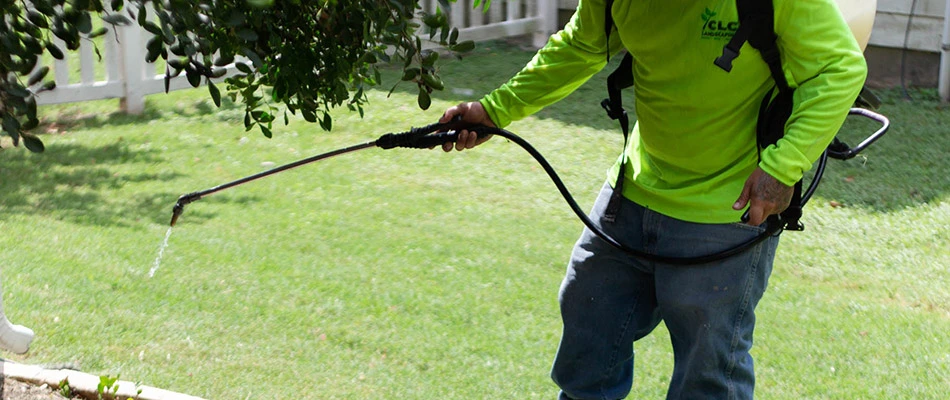 Our specialist spraying for weeds on a property in Seguin, TX.