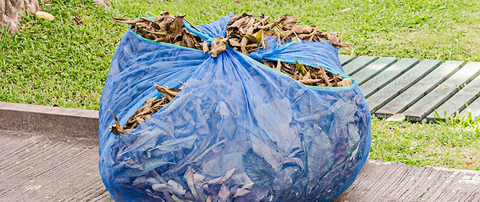 A tarp of leaves after leaf removal service in Seguin, TX.