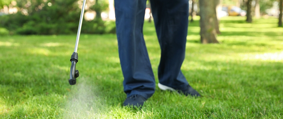 Technician applying preventative grub control treatment to a lawn in New Braunfels, TX.