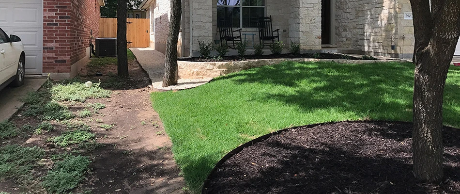 Our client's regularly treated healthy grass next to their neighbor's untreated, less healthy grass in Seguin, TX.
