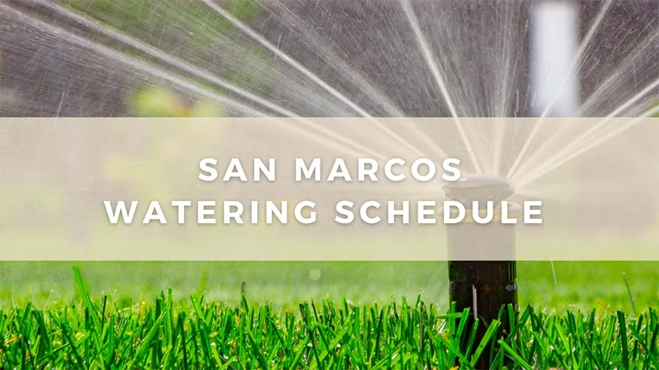 Watering schedule for lawns in San Marcos, TX.